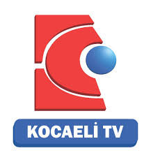 Logo 13