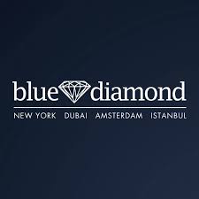 Logo 31